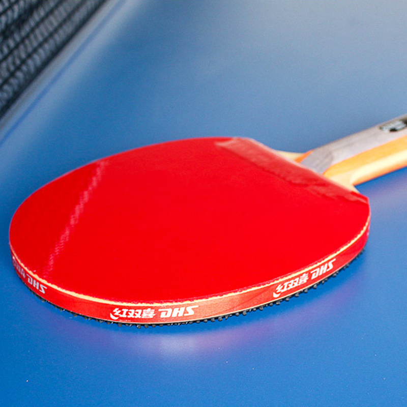 DHS zelfklevende Tafeltennis R - Table Tennis Logo recensie en prijs